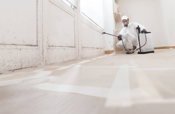 24/7 Emergency Mold Cleanup experts in Franklin, NJ
